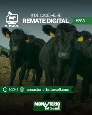 Remate digital 284°