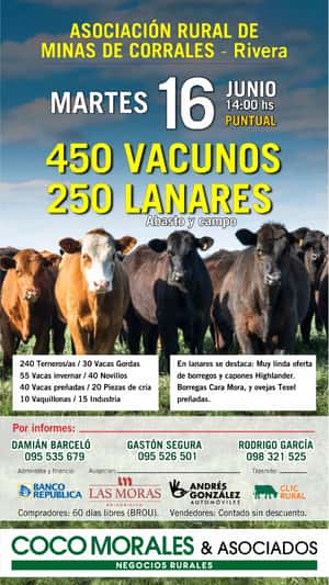 Imagen Feria Coco Morales