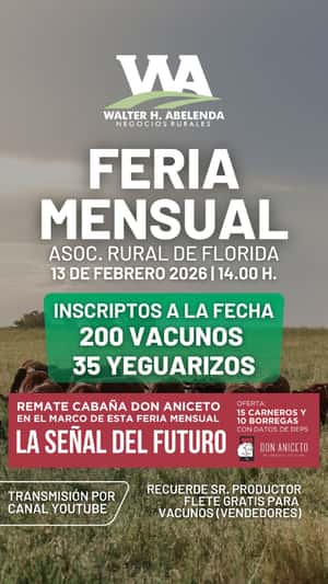 Feria Mensual