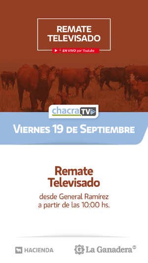 80° REMATE TELEVISADO