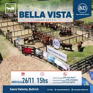 Feria en Bella Vista