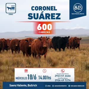 Feria en Cnel. Suárez