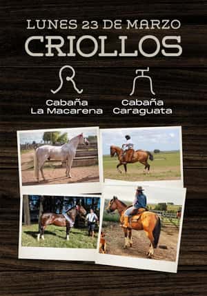 Remate criollos, Cabaña La Macarena y Caraguata 