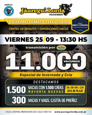 Remate televisado