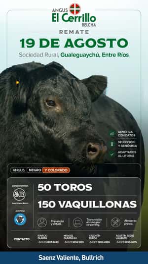El Cerrillo
