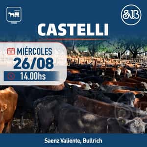 Feria en Castelli