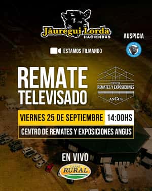 Remate televisado
