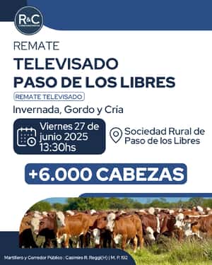 TELEVISADO PASO DE LOS LIBRES
