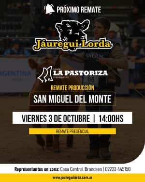 03 de Octubre - San Miguel del Monte