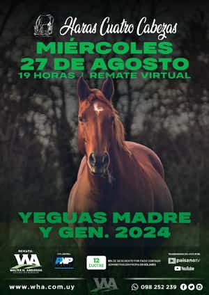 Haras Cuatro Cabezas