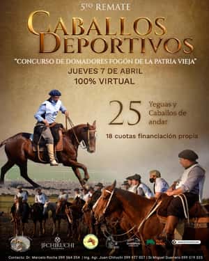 5to REMATE CABALLOS DEPORTIVOS