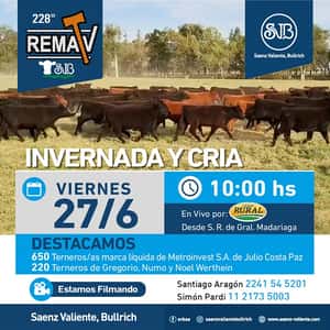228° RematV