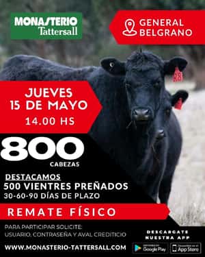 Remate Fisico General Belgrano