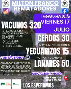 Feria Mensual - Milton Franco