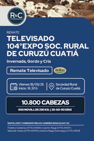 Remate televisado 104 Expo Soc. rural de Curuzú Cuatiá