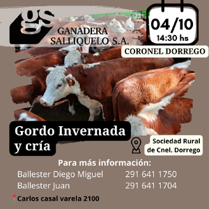 Remate en Coronel Dorrego