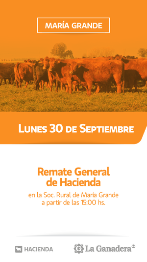 REMATE FERIA EN SOCIEDAD RURAL MARIA GRANDE