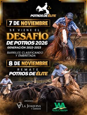 Potros de Elite