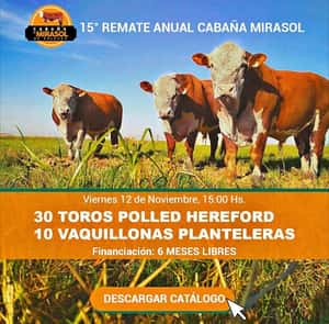 Cabaña El Mirasol - Hereford