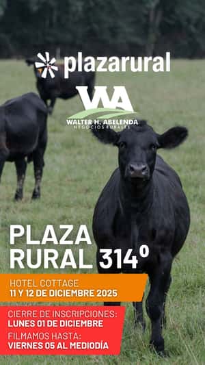 314º remate Plaza Rural