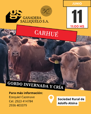 Remate Gordo, Invernada y Cría en Carhué