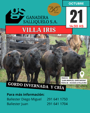  REMATE FERIA EN VILLA IRIS