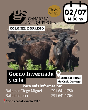  REMATE EN CORONEL DORREGO