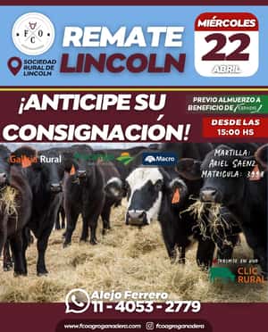 Remate Lincoln / FCO