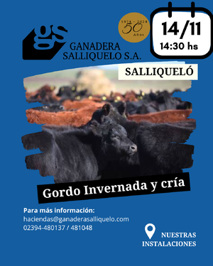 REMATE FERIA EN SALLIQUELÓ