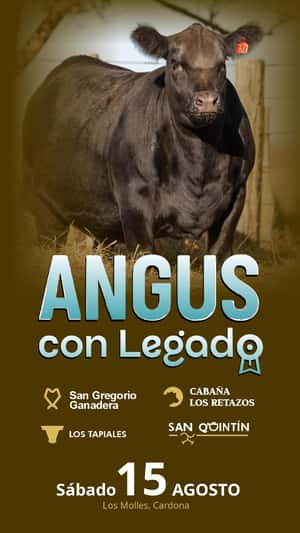 Imagen ANGUS CON LEGADO