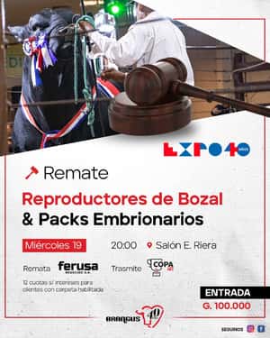 REMATE DE REPRODUCTORES DE BOZAL & PACKS EMBRIONARIOS BRANGUS - EXPO INTERNACIONAL 2023