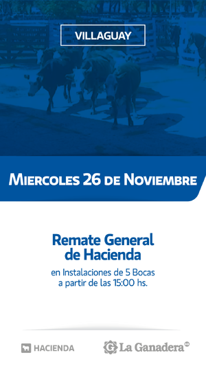 REMATE FERIA 5 BOCAS - PASO DE LA LAGUNA