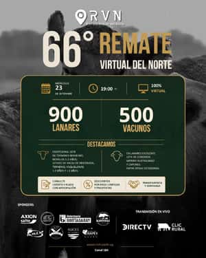 66º Remate Virtual del Norte