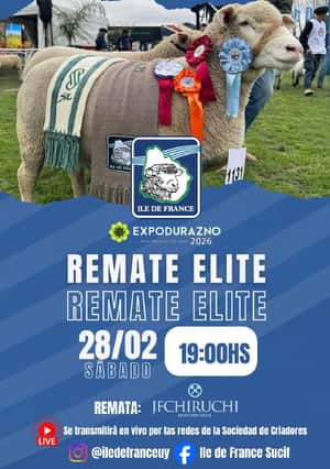Remate Elite