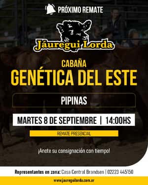Genética del este, en Pipinas