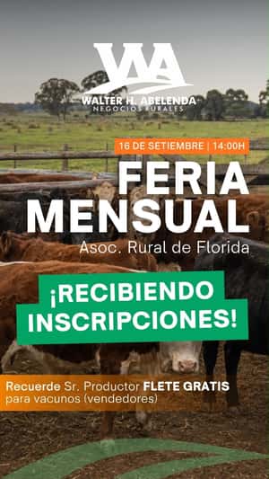 Feria mensual - WHA
