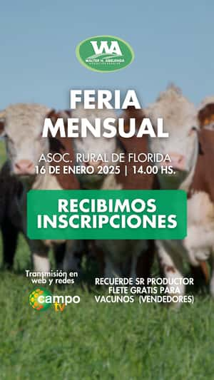 Feria Mensual - WHA