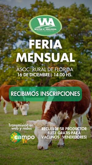 Feria Mensual - WHA