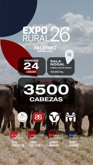 Remate virtual