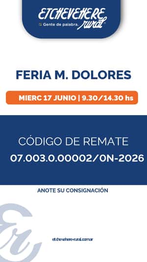 Feria Maria Dolores