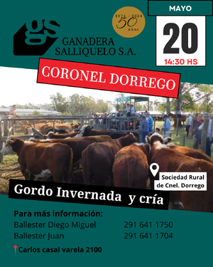 Remate en Coronel Dorrego