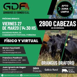 27 DE MARZO - Comandante Fontana - feria