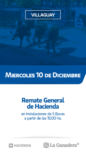 REMATE FERIA 5 BOCAS - PASO DE LA LAGUNA