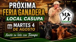 Feria mensual - Milton Franco