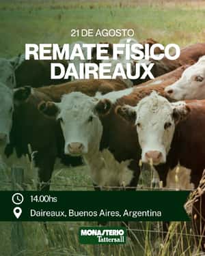 Remate Físico Daireaux