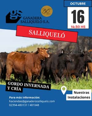 REMATE FERIA EN SALLIQUELÓ