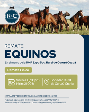 Remate equinos 