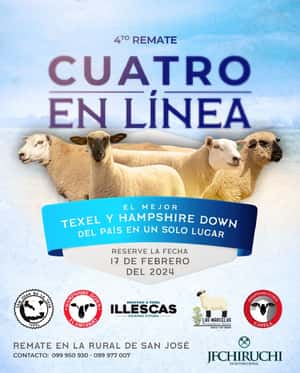 4° Remate  -  Cuatro en Linea