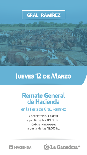 REMATE FERIA EN INSTALACIONES DE GRAL. RAMÍREZ