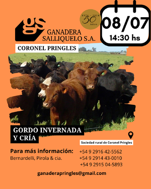 REMATE EN CORONEL PRINGLES